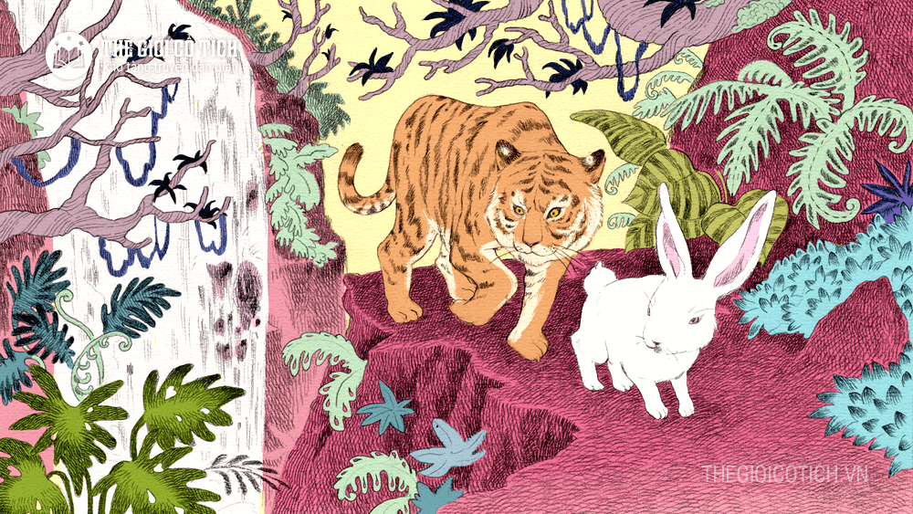 Truyện Chú Thỏ thông minh