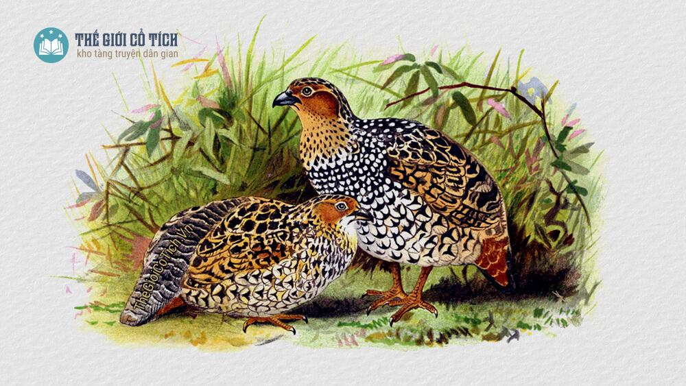 Nhấn vào ảnh để phóng to Sự tích chim đa đa