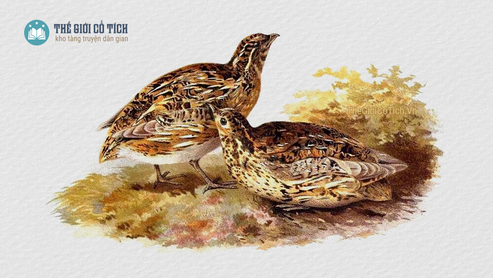 Truyện sự tích chim đa đa