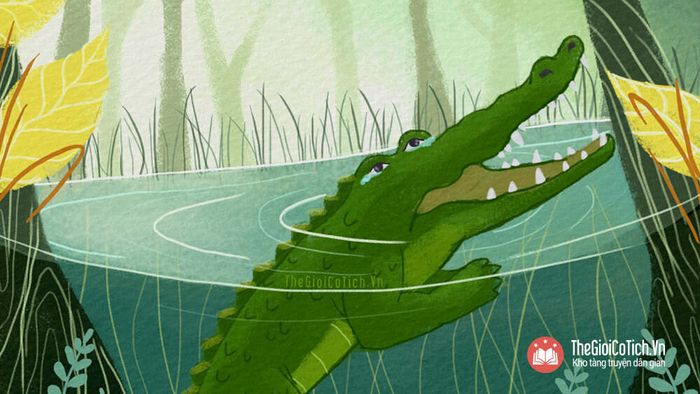 Nước mắt Cá Sấu nghĩa là gì