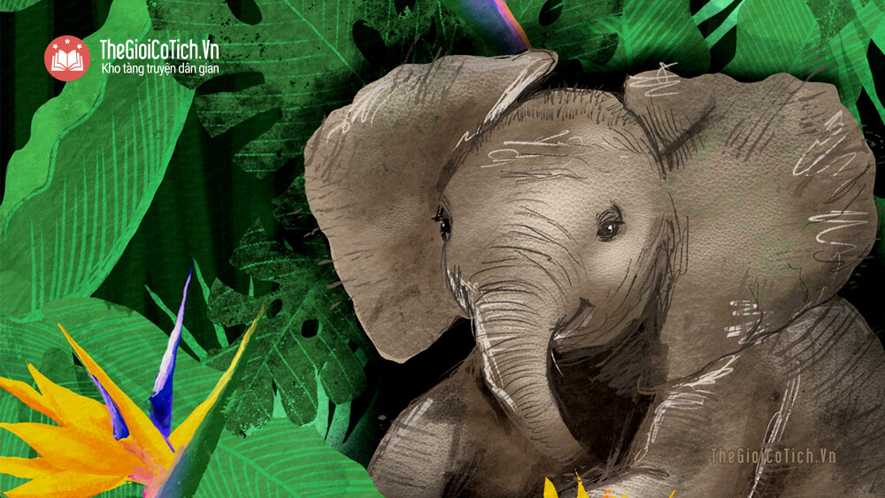 Câu chuyện Con voi và người quản tượng già