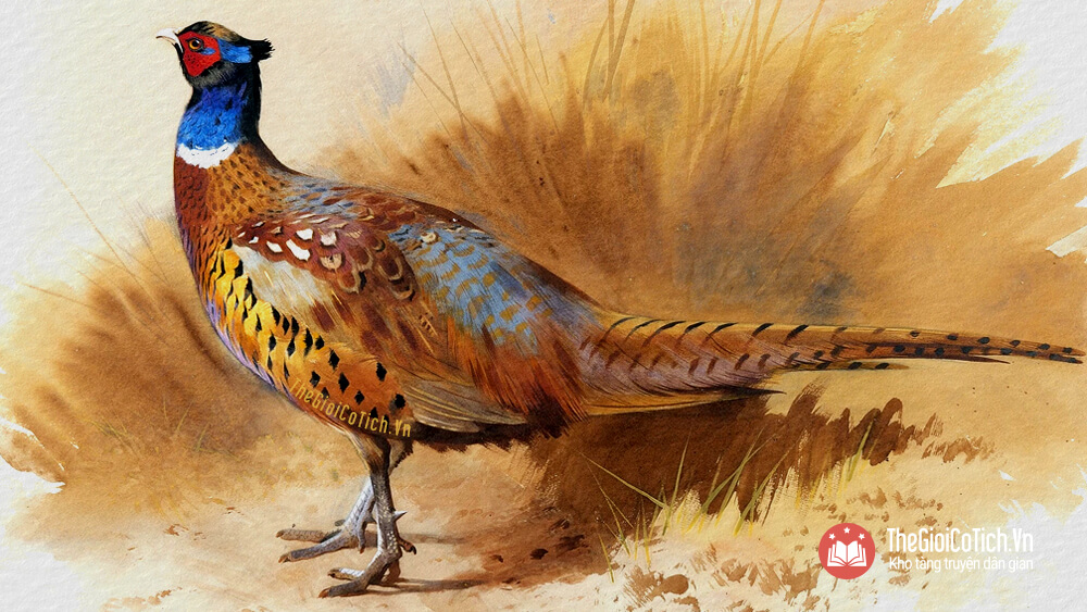 Sự tích chim Trĩ bới mộ