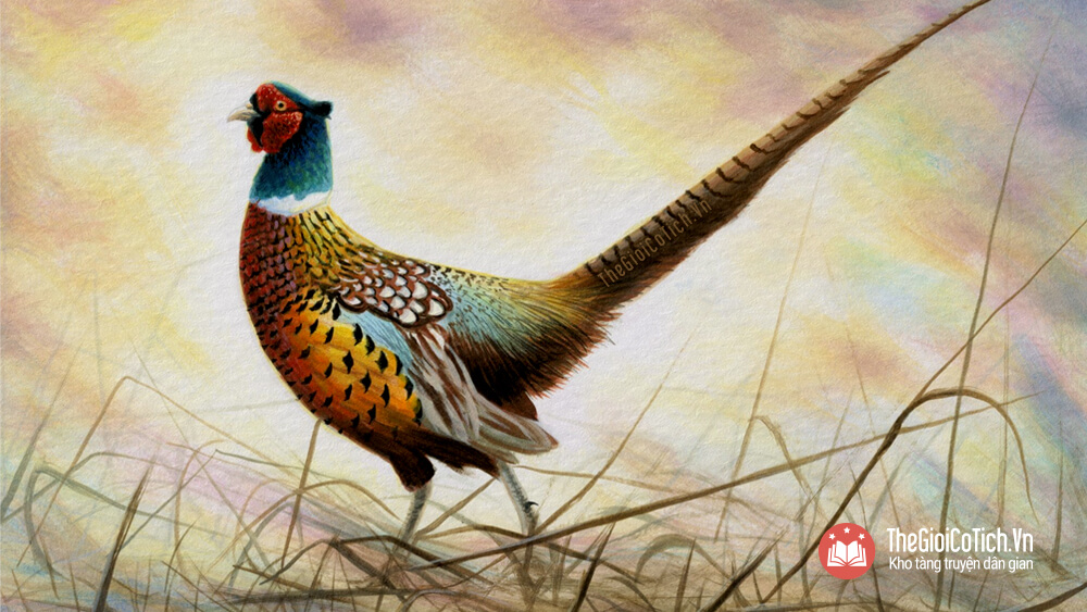 Câu chuyện Sự tích chim Trĩ bới mộ